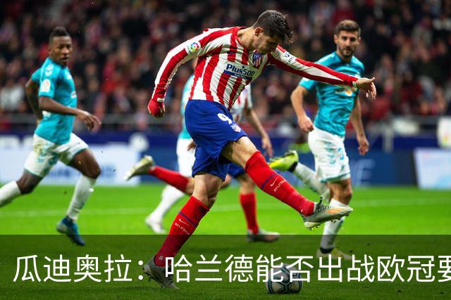 瓜迪奥拉：哈兰德能否出战欧冠要看评估
